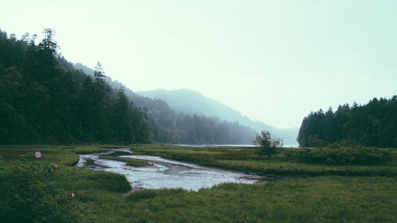 Featured image of post ABP vNext Application Template: Quick Start Guide