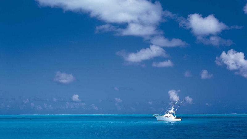 Featured image of post Comprehensive Guide to Swagger Integration in ASP.NET Core Applications