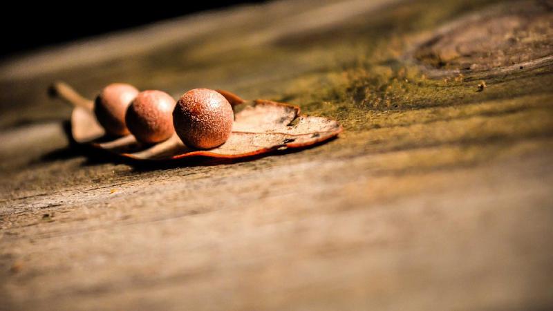 Featured image of post C# String Manipulation