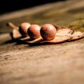 C# String Manipulation