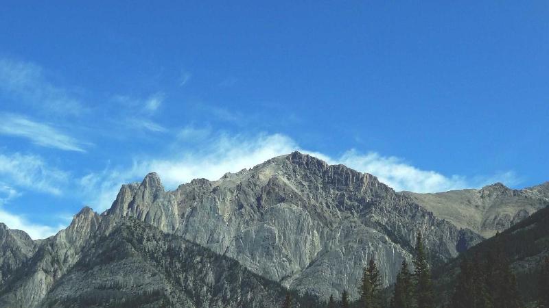 Featured image of post Deep Dive into .NET 8 WebApplication: Architecture and Components