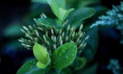 Featured image of post .NET 8 Dependency Injection