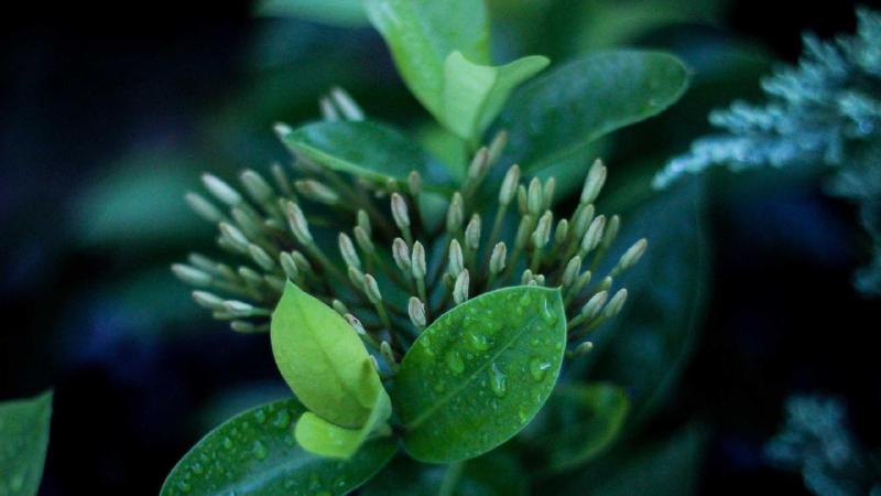 Featured image of post .NET 8 Dependency Injection