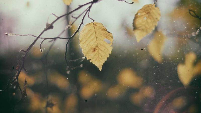 Featured image of post Implementing API Gateway in .NET Core with Ocelot