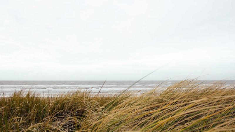 Featured image of post Kafka with .NET Core