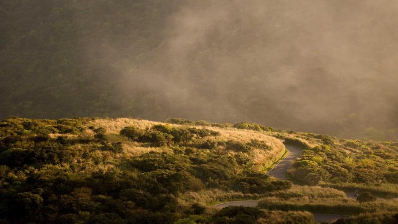 Featured image of post Redis Essentials: Features, Setup, and Operations