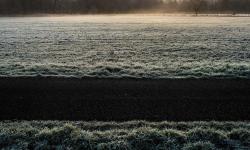 Featured image of post Task in C#