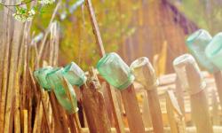 Featured image of post Three Methods to Copy Directories in C#