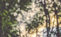 Featured image of post Why Doesn't IEnumerable<T> Have a ForEach Method?