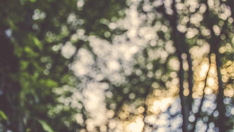 Featured image of post Why Doesn't IEnumerable<T> Have a ForEach Method?