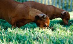 Featured image of post Why You Must Salt and Hash Passwords: A Journey to Secure Storage