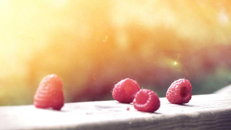 Featured image of post Working with Elasticsearch in .NET Core